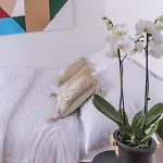 Apartment New Design - Location Wenceslas Square